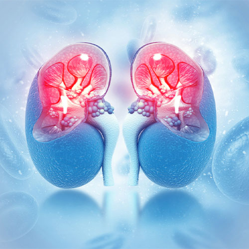 best Kidney Disorder  Treatment